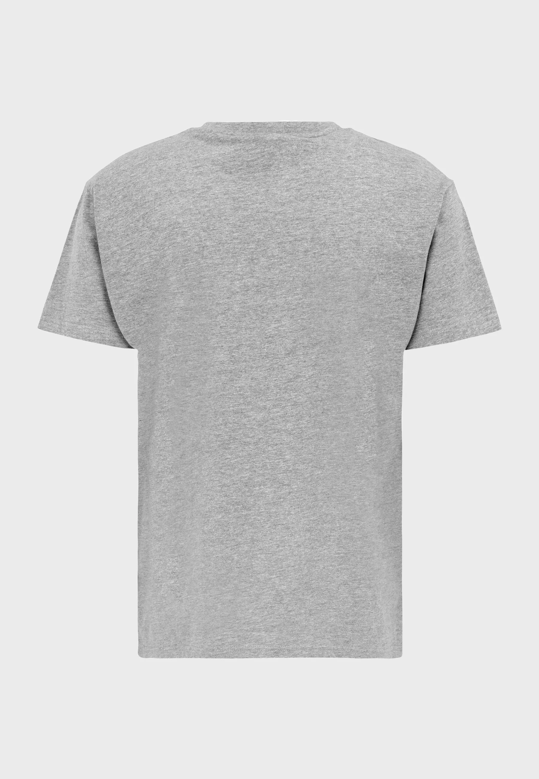 Big Wave T-Shirt Heather Grey