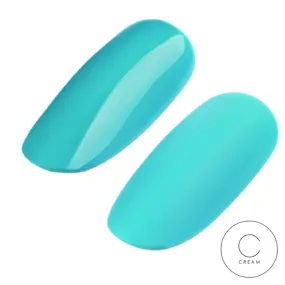 GEL POLISH #039