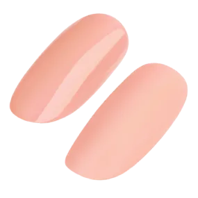 GEL POLISH #210